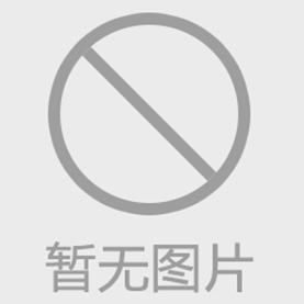 活套法兰的设计与性能